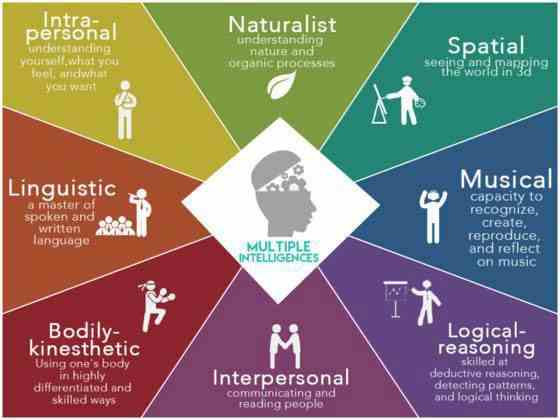 Dermatoglyphics Multiple Intelligence Test