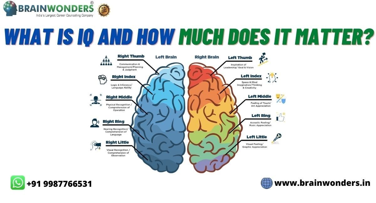IQ Test