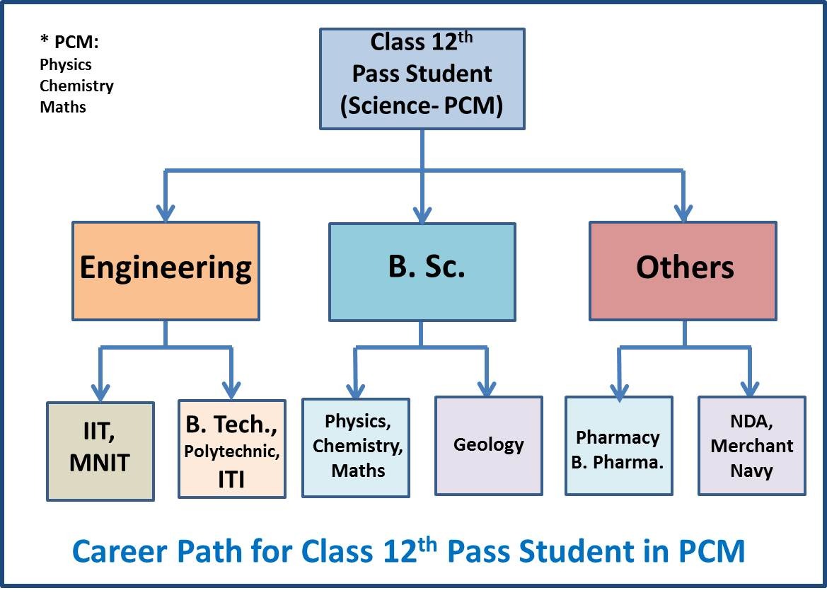 Career options