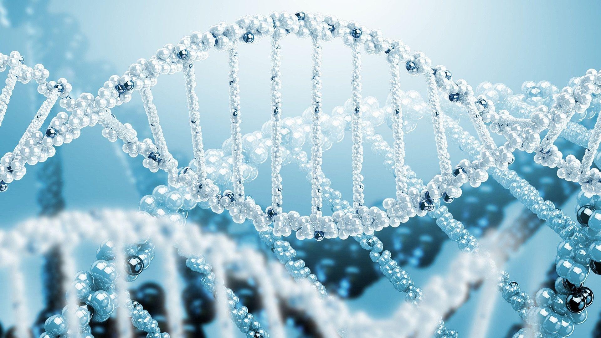 Rna & Dna