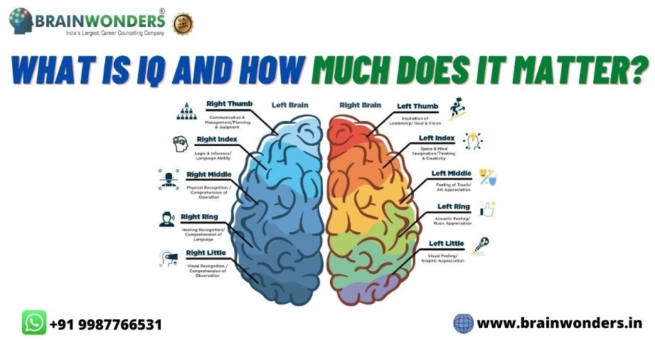 IQ